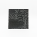 Schiefer-Untersetzer Baum Landschaft v2